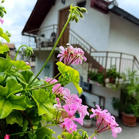 Mondo-free Parking *