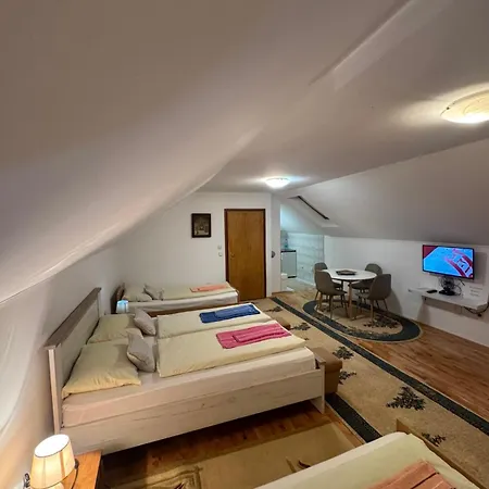 Sarajevo-free Parking Apartment *