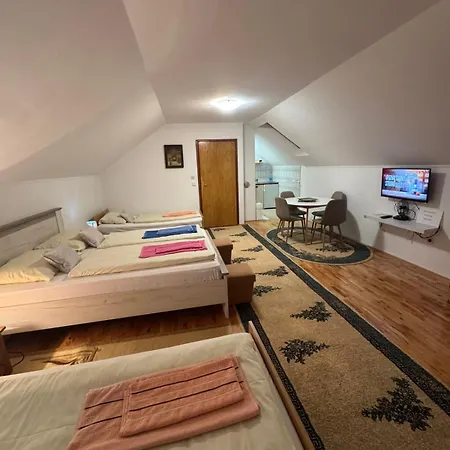 Sarajevo-free Parking Apartment Sarajevo